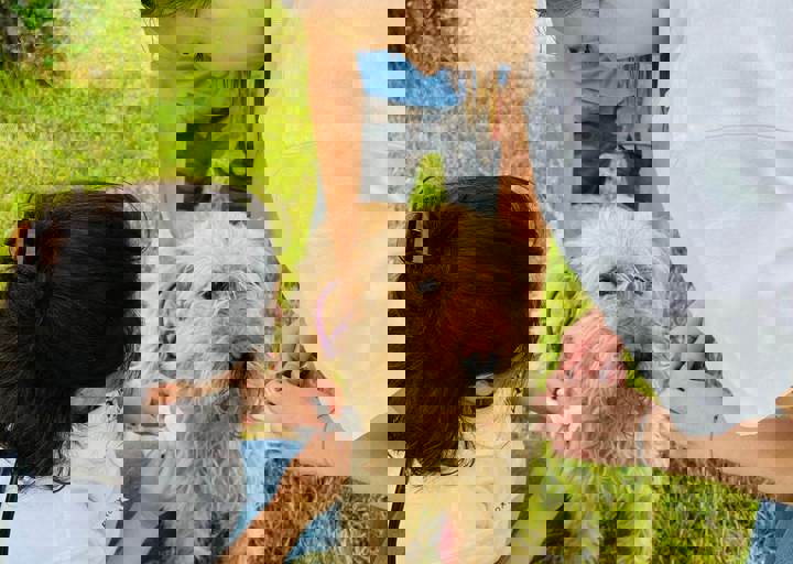 PHOTO 2024 07 04 22 28 13 12