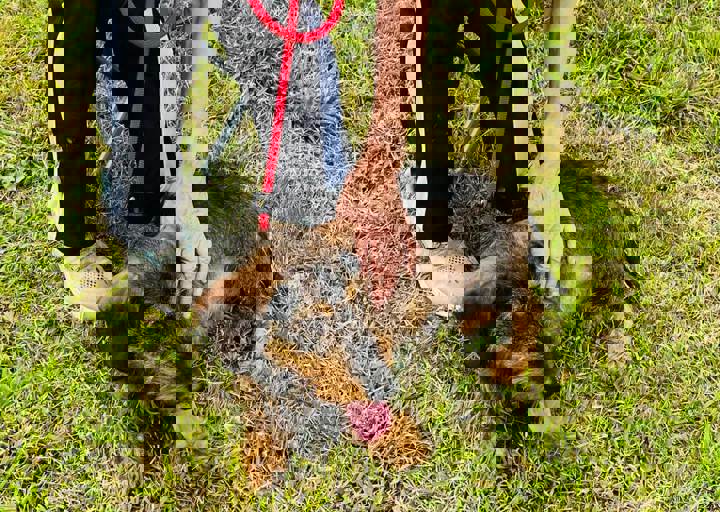 PHOTO 2024 07 04 22 38 21 4