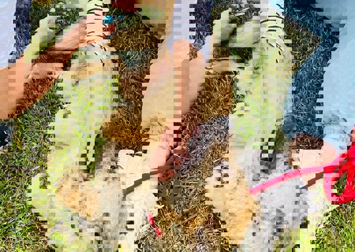 PHOTO 2024 07 04 22 36 12 6