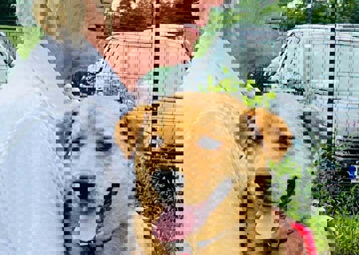 PHOTO 2024 07 05 18 06 52 2