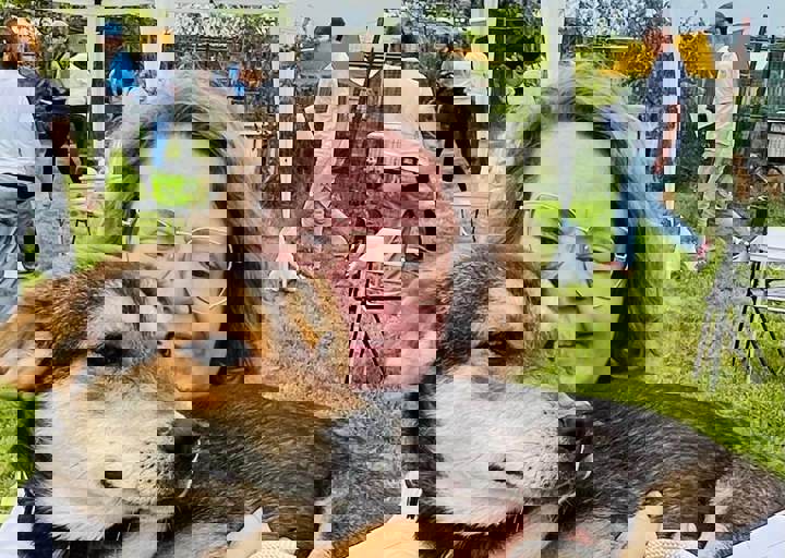 PHOTO 2024 07 04 22 33 21 3