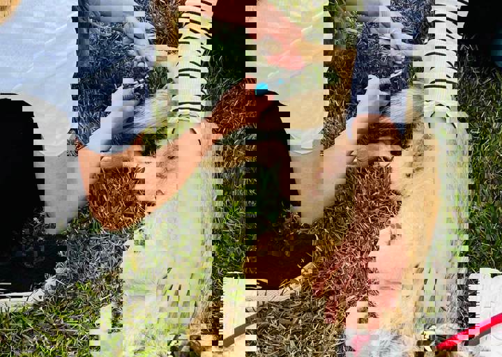 PHOTO 2024 07 04 22 36 12 7