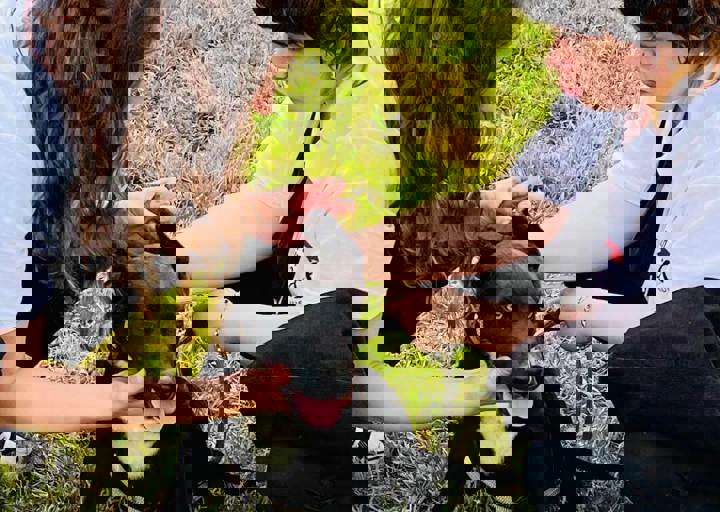 PHOTO 2024 07 04 22 38 21 3