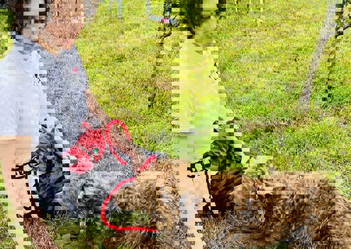 PHOTO 2024 07 05 18 06 49 2