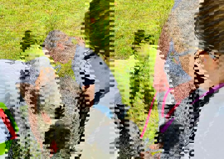 PHOTO 2024 07 04 22 33 21 18