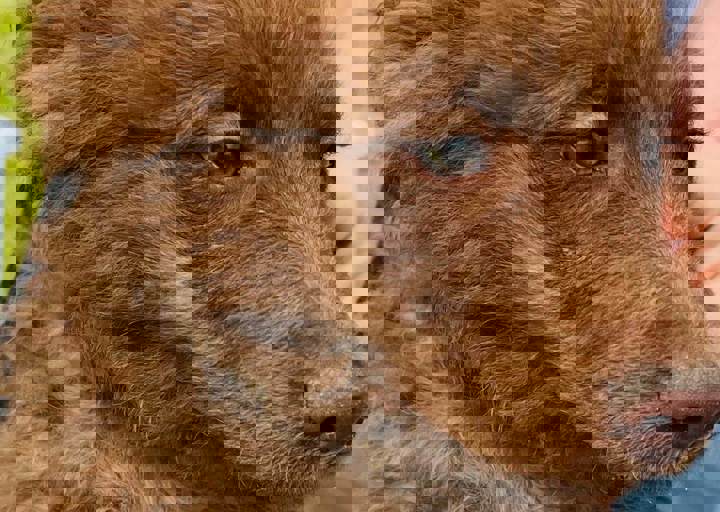 PHOTO 2024 07 04 22 28 13 15