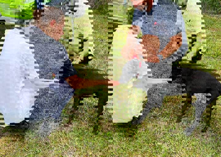 PHOTO 2024 07 04 22 36 12