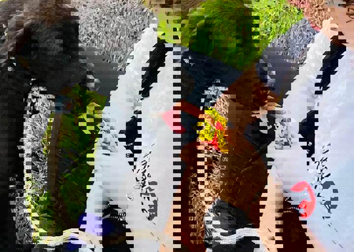 PHOTO 2024 07 04 22 36 12 9