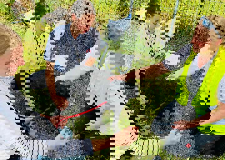 PHOTO 2024 07 04 22 40 38 6