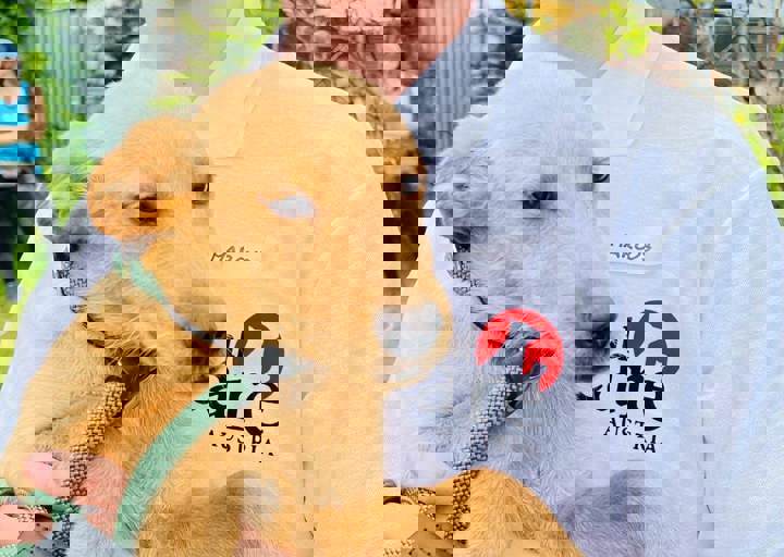 PHOTO 2024 07 04 22 33 21 14