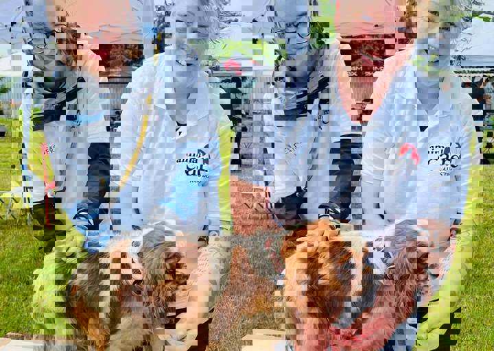 PHOTO 2024 07 04 22 28 13 19