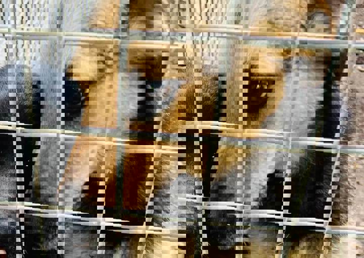 PHOTO 2024 07 04 22 42 37 6