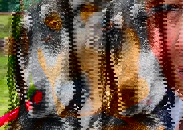 PHOTO 2024 07 04 22 36 12 16