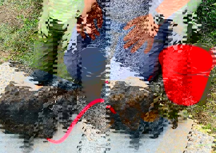 PHOTO 2024 07 04 22 36 12 17