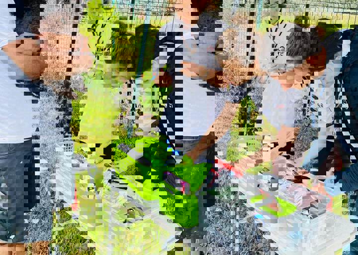 PHOTO 2024 07 04 22 28 13 18