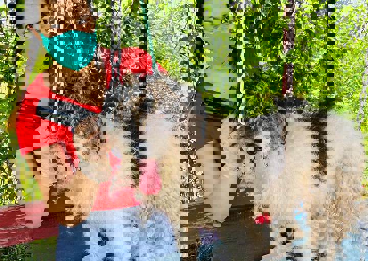 PHOTO 2024 07 04 22 40 38 7