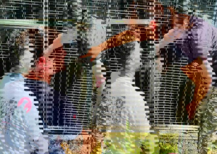 PHOTO 2024 07 04 22 42 37