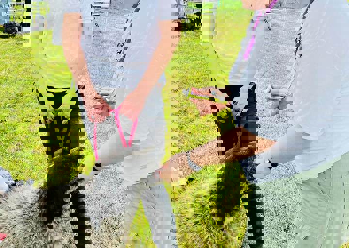 PHOTO 2024 07 04 22 33 21 17