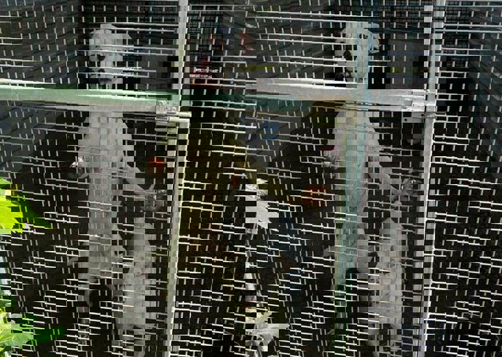 PHOTO 2024 07 04 22 42 37 5