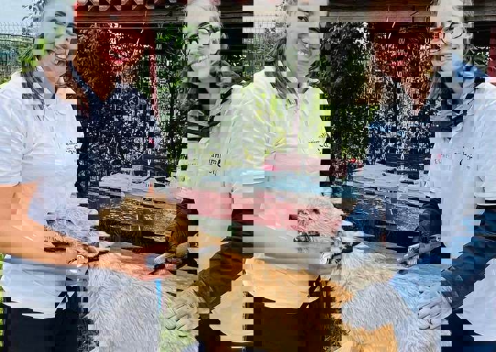 PHOTO 2024 07 04 22 33 21