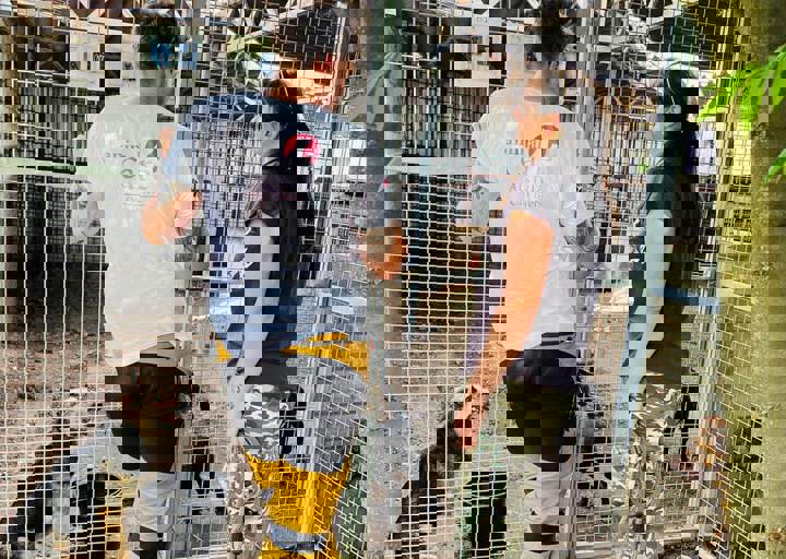 PHOTO 2024 07 04 22 42 37 4