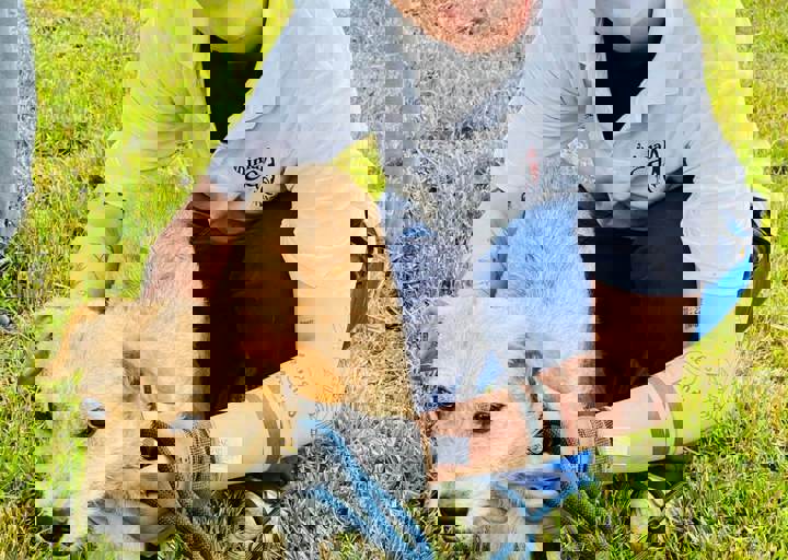 PHOTO 2024 07 04 22 33 21 16