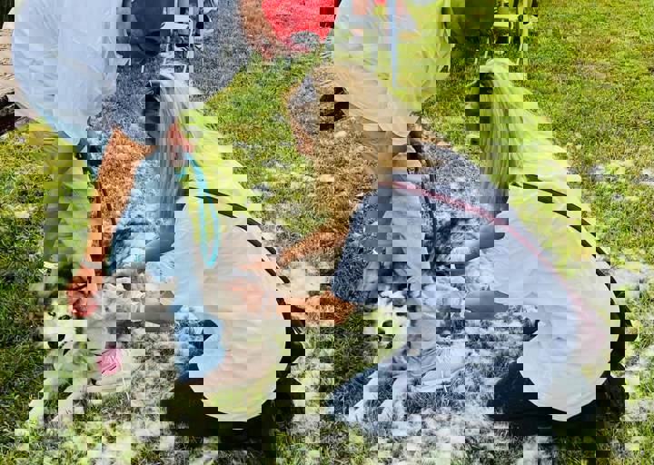 PHOTO 2024 07 04 22 36 10