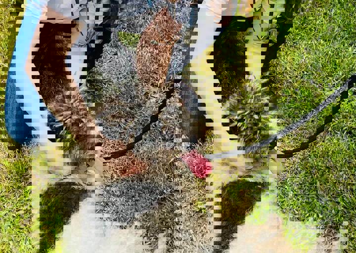 PHOTO 2024 07 04 22 38 21 9