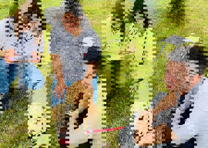 PHOTO 2024 07 04 22 36 12 10