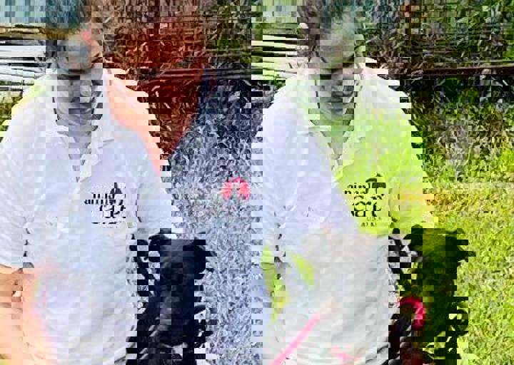 PHOTO 2024 07 04 22 36 12 11