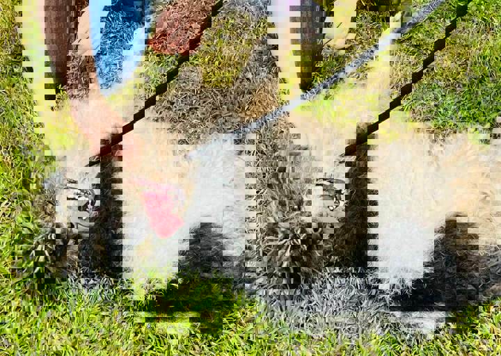 PHOTO 2024 07 04 22 38 21 8