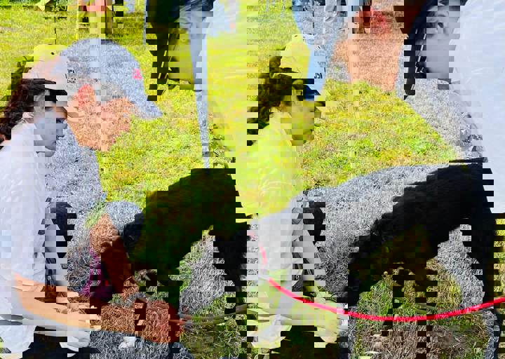 PHOTO 2024 07 04 22 40 38 3