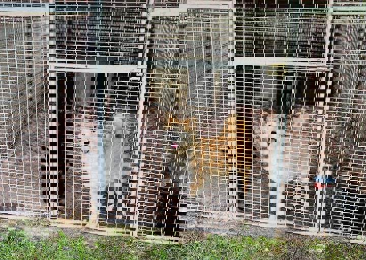 PHOTO 2024 07 04 22 42 37 3