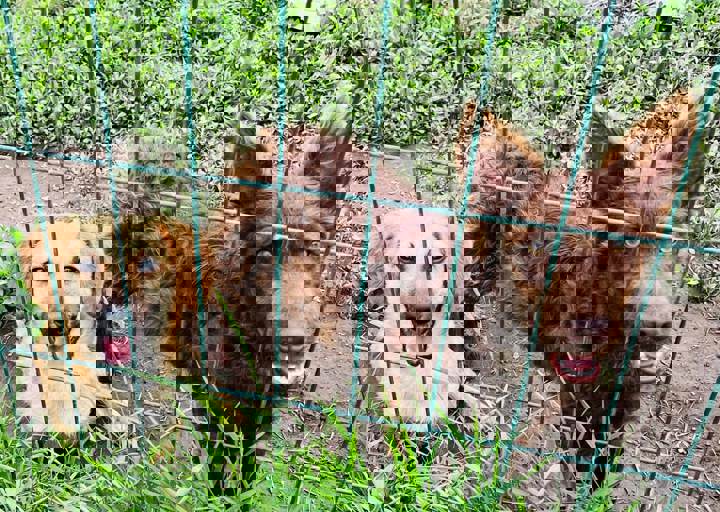 PHOTO 2024 07 04 22 33 21 9