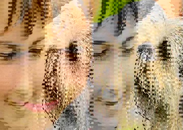 PHOTO 2024 07 04 22 36 12 13