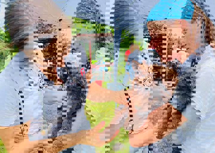 PHOTO 2024 07 04 22 29 43