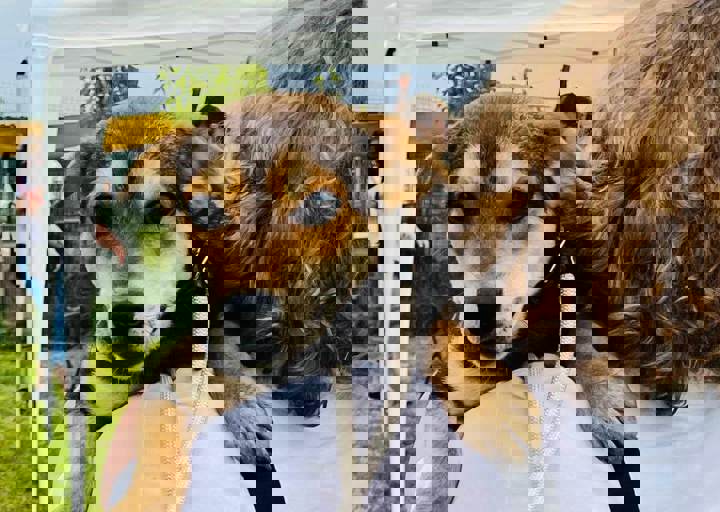 PHOTO 2024 07 04 22 36 12 12