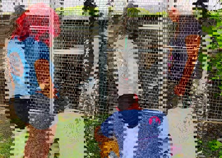 PHOTO 2024 07 04 22 42 37 2