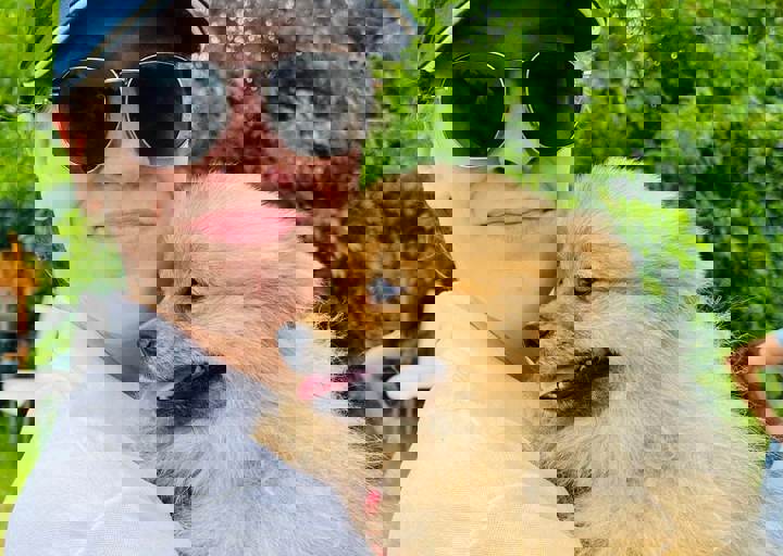 PHOTO 2024 07 04 22 33 21 10