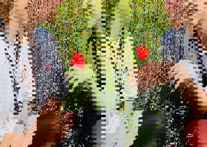 PHOTO 2024 07 04 22 40 38 11