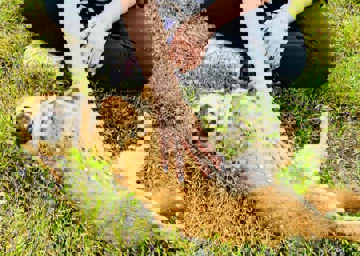 PHOTO 2024 07 04 22 29 44 9