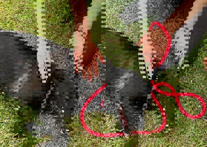 PHOTO 2024 07 04 22 42 37 14