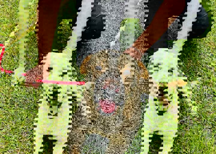 PHOTO 2024 07 04 22 29 44 8