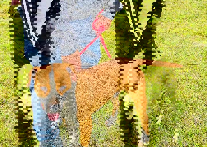 PHOTO 2024 07 05 18 06 51