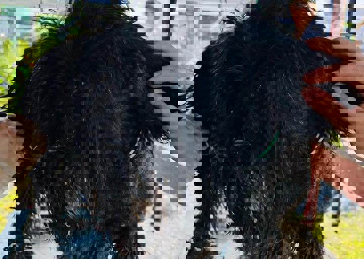 PHOTO 2024 07 04 22 38 22 8