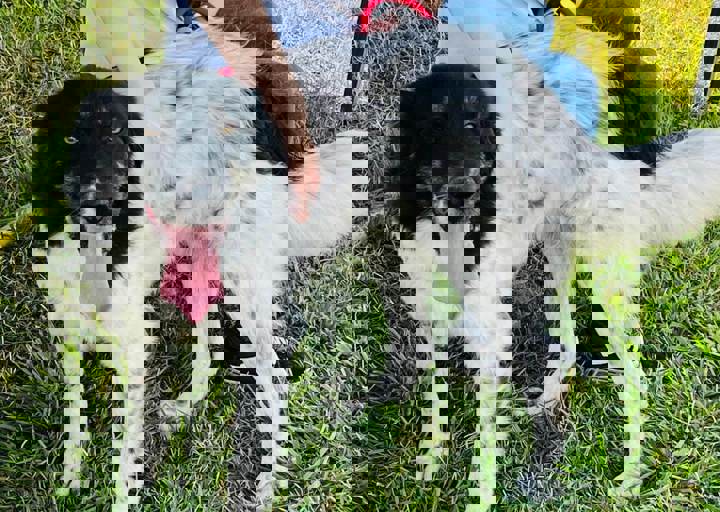 PHOTO 2024 07 04 22 40 38 17