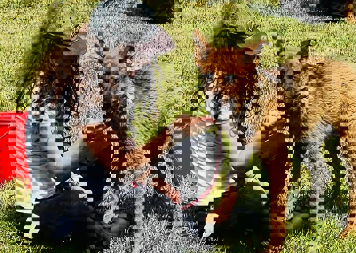 PHOTO 2024 07 04 22 40 38 16