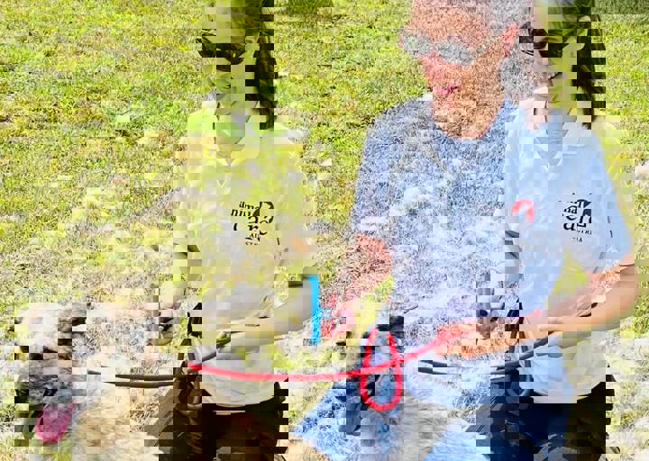 PHOTO 2024 07 04 22 38 22 9