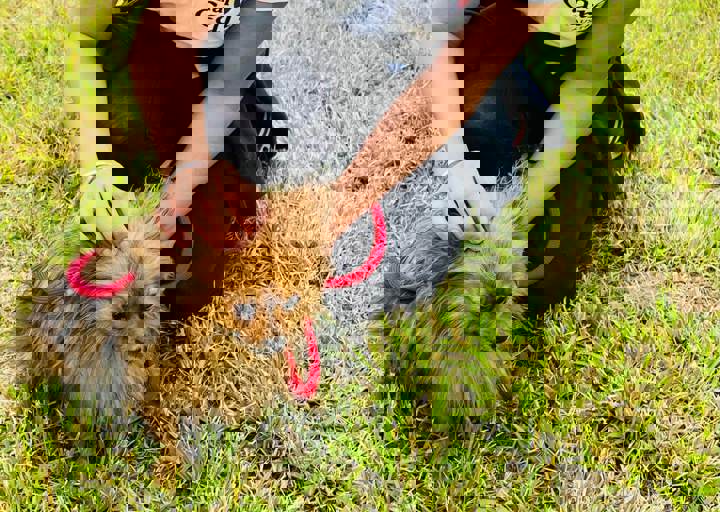 PHOTO 2024 07 05 18 06 50