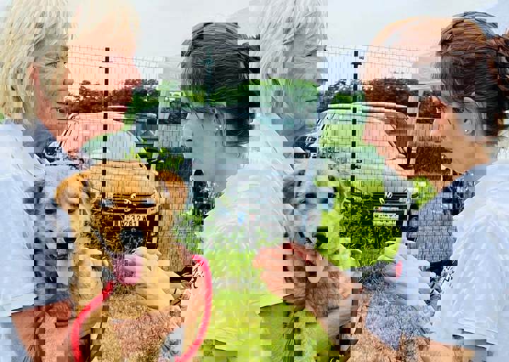 PHOTO 2024 07 05 18 06 52